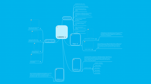 Mind Map: CUBISMO