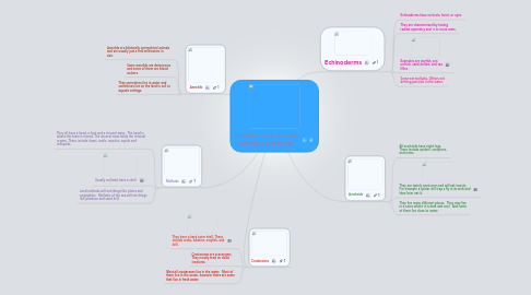 Mind Map: Invertebrates- Animals lacking a backbone.