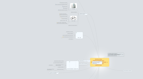 Mind Map: BUSCA PELA TRANSCENDÊNCIA E TENDÊNCIAS DECORATIVAS NAS LINGUAGENS ARTÍSTICAS