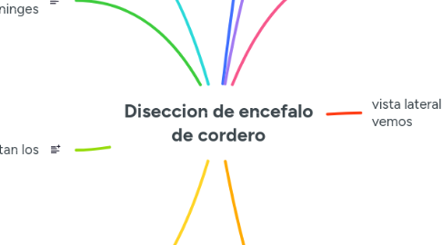 Mind Map: Diseccion de encefalo de cordero