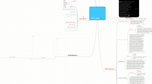 Mind Map: Didier LAHELY