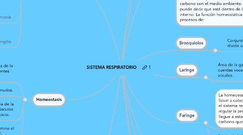 Mind Map: SISTEMA RESPIRATORIO