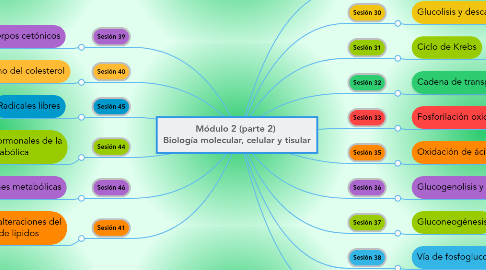 Mind Map: Módulo 2 (parte 2) Biología molecular, celular y tisular
