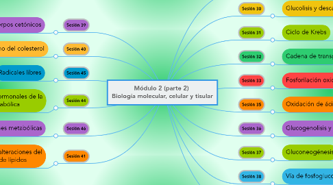 Mind Map: Módulo 2 (parte 2)  Biología molecular, celular y tisular