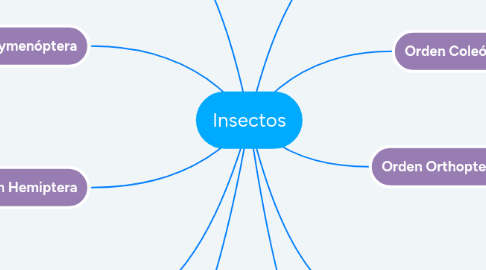Mind Map: Insectos