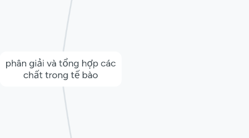 Mind Map: phân giải và tổng hợp các chất trong tế bào