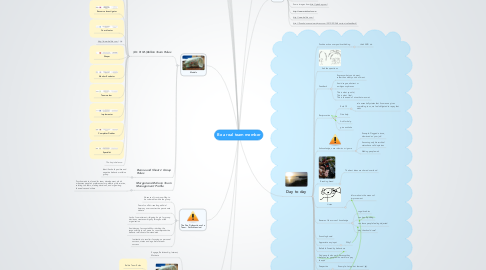 Mind Map: Be a real team member