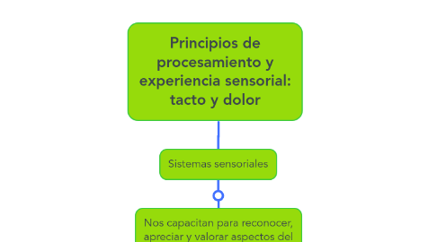 Mind Map: Principios de procesamiento y experiencia sensorial: tacto y dolor