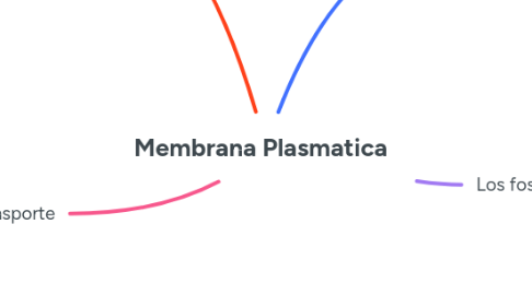 Mind Map: Membrana Plasmatica