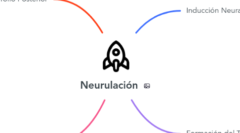 Mind Map: Neurulación
