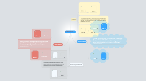 Mind Map: Food chain Levels
