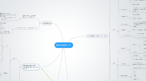 Mind Map: Nervensystem