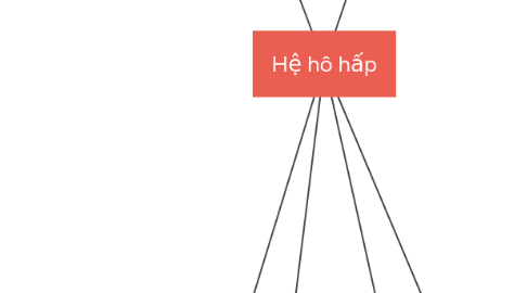 Mind Map: Hệ hô hấp