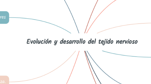 Mind Map: Evolución y desarrollo del tejido nervioso