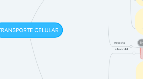 Mind Map: TRANSPORTE CELULAR