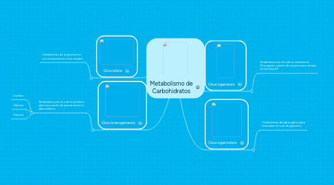 Mind Map: Metabolismo de Carbohidratos