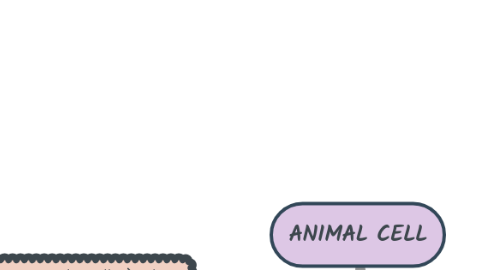 Mind Map: ANIMAL CELL