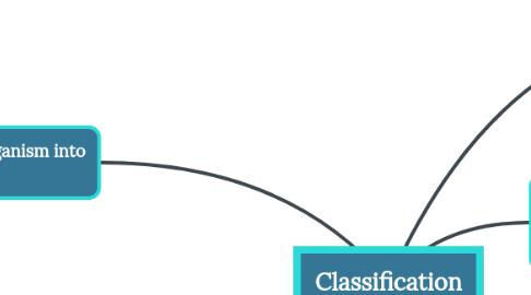 Mind Map: Classification