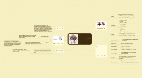 Mind Map: anatomia cerebral