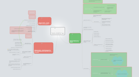 Mind Map: TLE STMG -- LES EPREUVES CERTIFICATIVES EN TLE