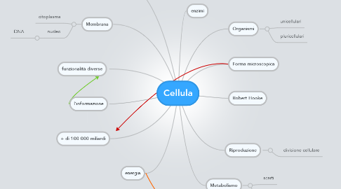 Mind Map: Cellula