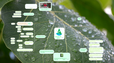 Mind Map: CAMINOS DEL AGUA