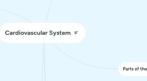 Mind Map: Cardiovascular System