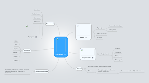 Mind Map: Pesäpallo