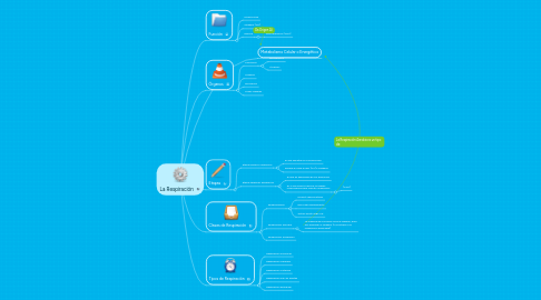 Mind Map: La Respiración