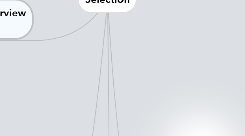 Mind Map: Selection