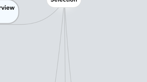 Mind Map: Selection