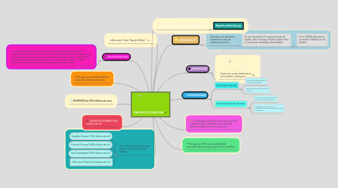 Mind Map: PROYECTO CASTOR