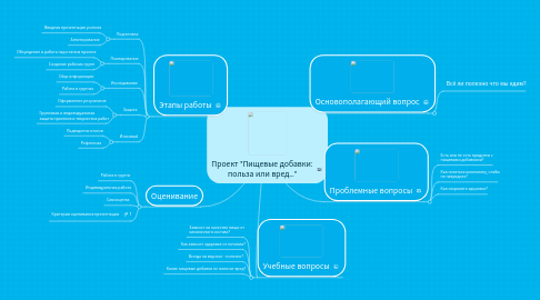 Mind Map: Проект "Пищевые добавки: польза или вред..."