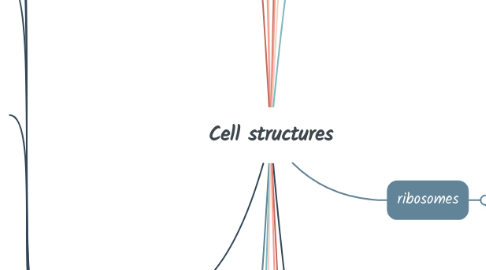 Mind Map: Cell structures
