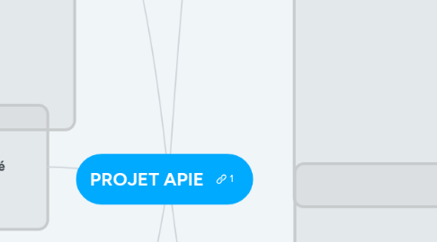 Mind Map: PROJET APIE