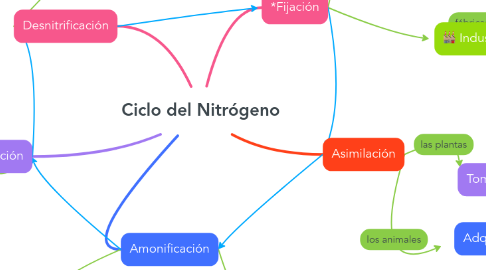 Mind Map: Ciclo del Nitrógeno
