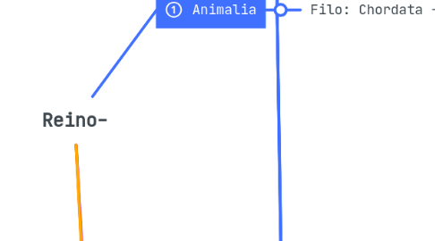 Mind Map: Reino-