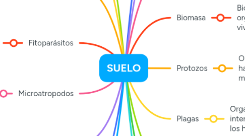 Mind Map: SUELO