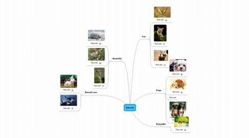 Mind Map: Animals