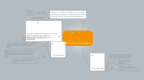 Mind Map: Mitocondria y Cloroplasto