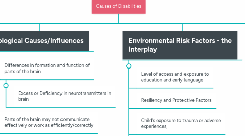 Mind Map: Causes of Disabilities