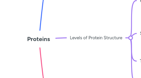 Mind Map: Proteins
