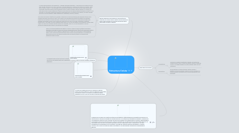 Mind Map: Estructura Celular