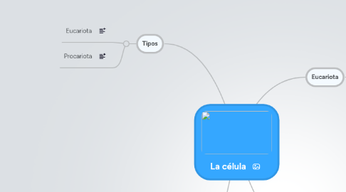 Mind Map: La célula