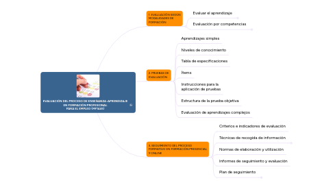 Mind Map: EVALUACIÓN DEL PROCESO DE ENSEÑANZA-APRENDIZAJE EN FORMACIÓN PROFESIONAL PARA EL EMPLEO (MF1445)