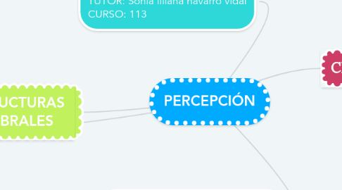 Mind Map: PERCEPCIÓN