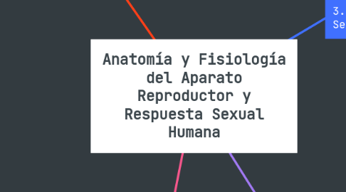 Mind Map: Anatomía y Fisiología del Aparato Reproductor y Respuesta Sexual Humana
