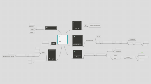 Mind Map: El Racismo