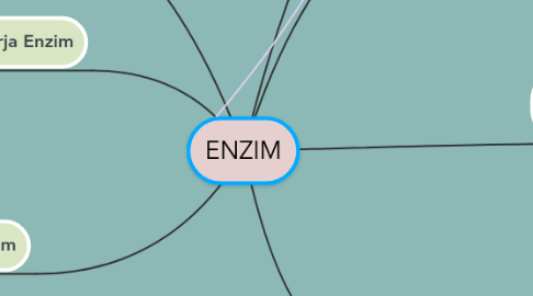 Mind Map: ENZIM