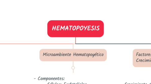 Mind Map: HEMATOPOYESIS